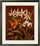 Buy Orchid Trio I at AllPosters.com