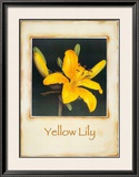 Yellow Lily