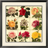 Buy Garden Glory at AllPosters.com