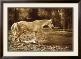 Buy The Crossing at AllPosters.com