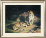 Buy Pair of Leopards at AllPosters.com