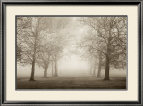 Buy Layers of Trees II at AllPosters.com