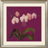 Buy Moon Shadows IV at AllPosters.com
