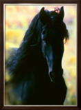 Buy Unknown at AllPosters.com