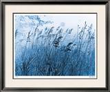 Buy Pastoral Delight at AllPosters.com