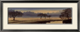 Buy A Perfect Morning I at AllPosters.com