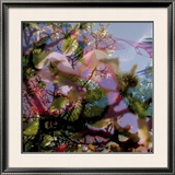 Buy Vegetaux 11, 2008 at AllPosters.com