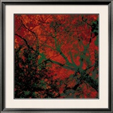Buy Vegetaux 12, 2008 at AllPosters.com