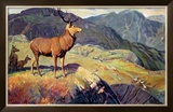 Buy Scotland for Holidays at AllPosters.com
