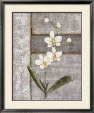 Buy Orchid Shimmer I at AllPosters.com