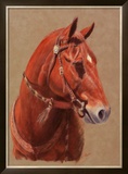 Buy Greencoat at AllPosters.com