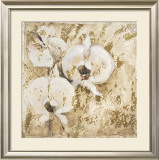 Fragrant Snow II