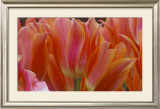 Buy Tulips at AllPosters.com