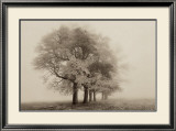 Buy Harmony in Fog at AllPosters.com
