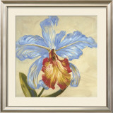 Buy Hot Blooms III at AllPosters.com