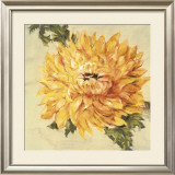 Buy Hot Blooms II at AllPosters.com