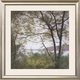 Buy Lakeside Trees I at AllPosters.com