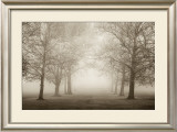 Buy Layers of Trees II at AllPosters.com