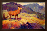 Buy Scotland for Holidays at AllPosters.com
