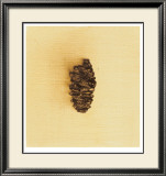 Fundamental Nature II