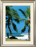 Buy Spot d'Haleiwa at AllPosters.com