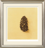 Fundamental Nature III