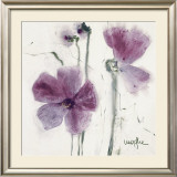 Pansies VI