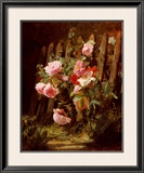 Pink Roses by a Garden Fence