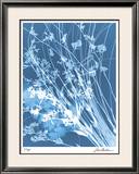 Buy Flower Shadow IV at AllPosters.com