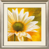 Buy Marguerites dans le Soleil III at AllPosters.com