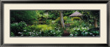 Buy Ayrlies at AllPosters.com