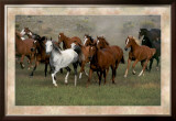 Wild Horses