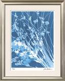 Buy Flower Shadow IV at AllPosters.com