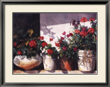 Buy Pots of Geraniums at AllPosters.com