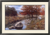Cypress Creek