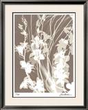 Buy Flower Shadow I at AllPosters.com
