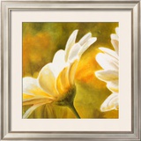 Buy Marguerites dans le Soleil II at AllPosters.com
