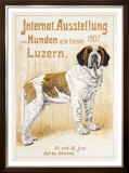 Austellung Von Hunden