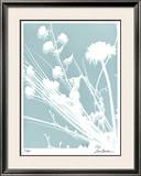 Buy Flower Shadow II at AllPosters.com
