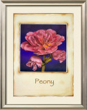 Peony