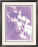 Buy Flower Shadow V at AllPosters.com
