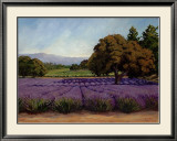 Buy Lavender Fields at AllPosters.com