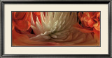 Buy Dahlias IV at AllPosters.com