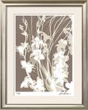 Buy Flower Shadow I at AllPosters.com