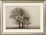 Buy Harmony in Fog at AllPosters.com