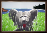 Buy Dog At Duck Trap, 1976 at AllPosters.com