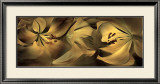 Buy Lilies No. 35 at AllPosters.com