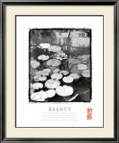 Beauty: Lilypads