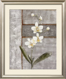 Buy Orchid Shimmer I at AllPosters.com