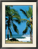 Buy Spot d'Haleiwa at AllPosters.com